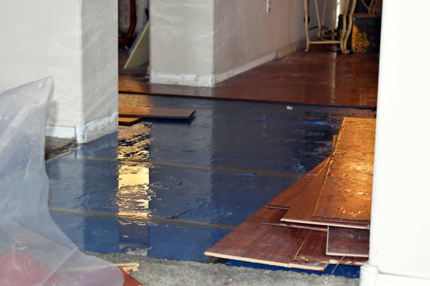 Professional Basement Flood Cleanup technician working in Avon, IN